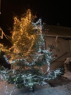 Rozsvícení vánočního stromku a předvánoční posezení 2023